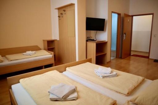 Gasthaus-Pension Zum Loewen Asten Zewnętrze zdjęcie